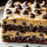 Chocolate Chip Sheet Cake with Cookie Dough Buttercream