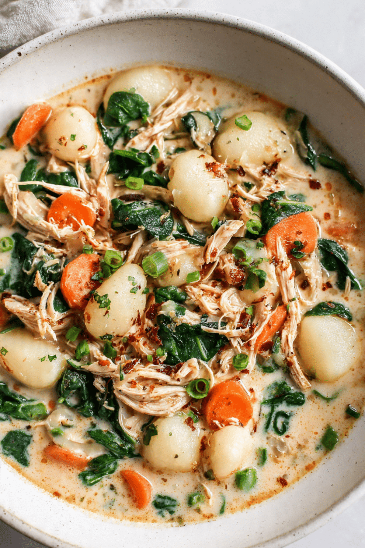 Crockpot Chicken Gnocchi Soup