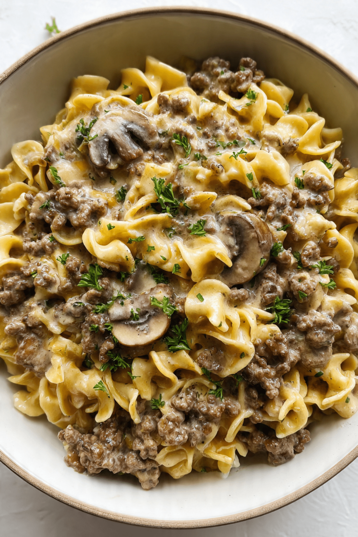 Ground Beef Stroganoff Recipe